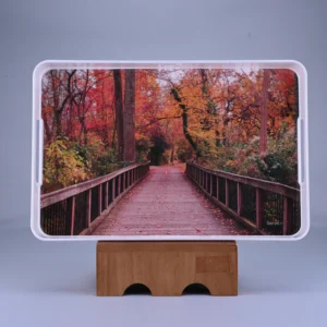 3 pc Tray Set Splendor - New Forest